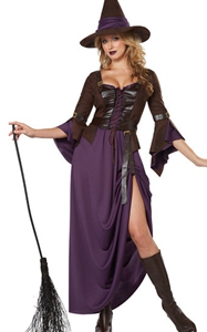 F1787 Adult Purple and Brown Salem Witch Costume